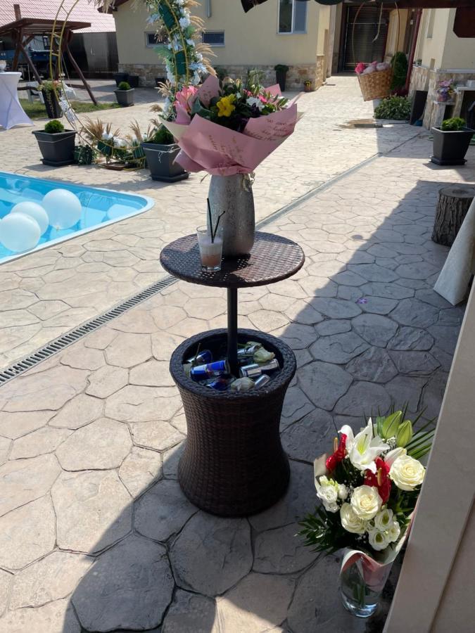 Gilău Casa Ryana Self Check-Inモーテル エクステリア 写真